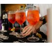 Aperitivo Padova, 11% Vol. 1,0 ltr. (der für den Spritz)!